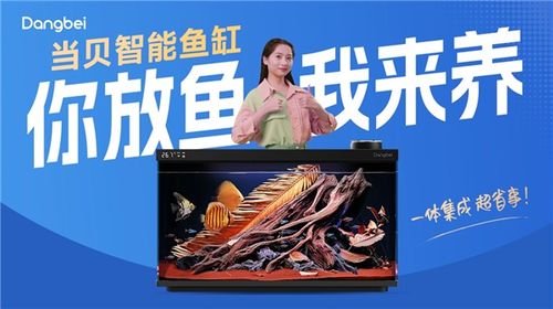 當(dāng)貝智能魚缸創(chuàng)意廣告席卷北上廣深 多地強勢上線