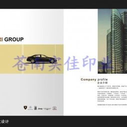 浙江企業(yè)宣傳畫冊印刷紙袋印刷 溫州廣告畫冊印刷廠 溫州廣告畫供應商 蒼南縣龍港鎮(zhèn)實佳紙塑制品廠