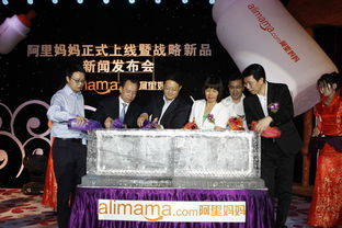 阿里媽媽發(fā)布戰(zhàn)略級網(wǎng)絡廣告產(chǎn)品 全國聯(lián)播